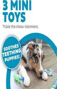 Outward Hound Cutie Chewies Hedgehog Dental Dog Chew Toy, Blue - Dentachew 3 件裝 - 查看 3