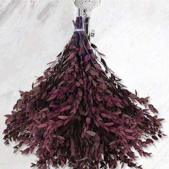 100g/200g 正宗桉树叶干品，天然干燥植物材料，用于淋浴，43cm 保鲜桉树叶，桉树枝干可用于装饰、婚礼、家居装饰、藤条材料、摄影道具