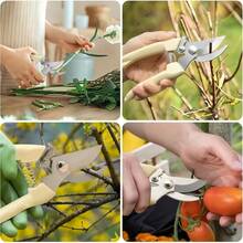 2Pcs Garden Scissors With Sharp White Steel Blades & Ergonomic Handles - Right-Handed Pruning Shears For Flowers, Shrubs, Roses, Fruits - Durable Metal Construction For Garden, Orchard, Flower Shop Use, Garden Pruning Shears, Orchard Maintenance, Classic Design, Rustresistant Material, Home Gardeners - 米色 - 查看 5
