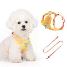 UNA MASCOTA Pet Collars, Leashes & Harnesses Sets - Yellow - View 7