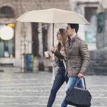 Umbrellas And Rain Hat Umbrellas - 1 - 查看 2