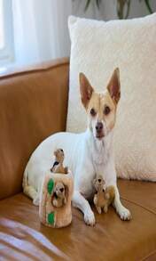 Outward Hound Hide A Birthday Cake, Plush Puzzle Birthday Themed Dog Toy - Small Pack Of 1 - View 6