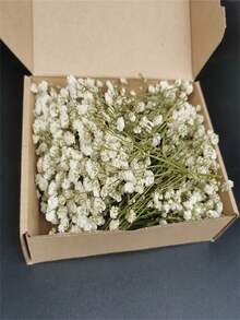 100pcs Mini Baby Breath & Other Dried Flowers - Resin Mold Art Craft, Ivory White Bouquet, Headpiece, Wedding Wreath, Tabletop Vase, Home Decor