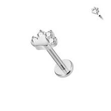 ADYJELY 1 pezzo Piercing per il naso in acciaio inossidabile ipoallergenico, orecchino a perno per cartilagine 16G 8mm, anello per labbro a forma di zampa di cane placcato in oro 18K, piercing per elice con filettatura interna, decorazione per orecchie, tragus, adatto per donne e uomini