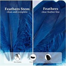 FeelfunFeather 120pcs Navy Blue Goose Feathers 6-8 Inch 15-20cm Decorative Natural Goose Nagoire Bulk Crafts Cosplay Wedding Party Halloween Home Decoration - TỰ NHIÊN - Xem 7