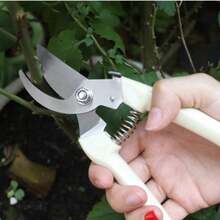 2Pcs Garden Scissors With Sharp White Steel Blades & Ergonomic Handles - Right-Handed Pruning Shears For Flowers, Shrubs, Roses, Fruits - Durable Metal Construction For Garden, Orchard, Flower Shop Use, Garden Pruning Shears, Orchard Maintenance, Classic Design, Rustresistant Material, Home Gardeners - 米色 - 查看 2
