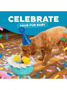 Outward Hound Hide A Birthday Cake, Plush Puzzle Birthday Themed Dog Toy - Squirrel - View 14