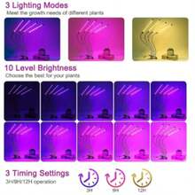 KINGSTEAM Lámpara LED de Crecimiento para Plantas de Interior, Lámpara de Crecimiento de Plantas de Espectro Completo de 4 Cabezas con Cuello de Cisne Ajustable para Suculentas, Flores, Plantines - Negro - Ver 5