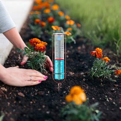 1 pieza Pluviómetro para exteriores, pluviómetro de vidrio de gran capacidad de 7 pulgadas con junta, fácil de leer, pluviómetros desmontables para el patio, el césped, el jardín, la cerca (bronce)