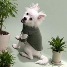 1件绿色高领狗狗衣服，带心形贴片，适合小型犬日常穿着 - 彩色 - 查看 9