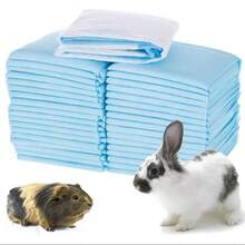 20pcs Disposable Waterproof Incontinence Pads, Breathable Portable Disposable Bed Pads, Soft Mattress Highly Absorbent Waterproof, Christmas & Halloween Gift