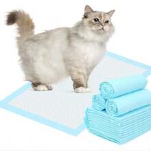 20pcs Disposable Waterproof Incontinence Pads, Breathable Portable Disposable Bed Pads, Soft Mattress Highly Absorbent Waterproof, Christmas & Halloween Gift