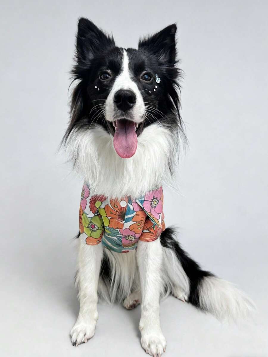 1 Stück Haustier Hawaii Blumenhemd, geeignet für alle Jahreszeiten, modisch & stylisch für kleine/mittlere Pudel, Teddys, Katzen, Hunderassen wie Pomeraner, Schnauzer, Chihuahua, Shih Tzu, Anti-Fellverlust & Sonnenschutz, Strand-/Street-Style