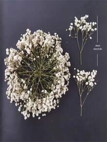 100pcs Mini Baby Breath & Other Dried Flowers - Resin Mold Art Craft, Ivory White Bouquet, Headpiece, Wedding Wreath, Tabletop Vase, Home Decor