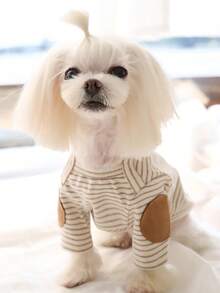 1 件秋冬宠物服装，条纹运动衫，适合泰迪、贵宾犬、约克夏犬、小型犬和猫 - 彩色 - 查看 2