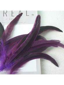 50pcs 20-25cm Natural Rooster Tail Feathers, Bulk For DIY Crafts, Hats, Costumes, Holiday Party Decorations (Natural) - Multicolor - View 12