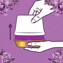 Long-Lasting Gel Air Freshener with Essential Oils, Lavender Fields Scent, Odor Eliminator for Home, Lasts Up to 45 Days