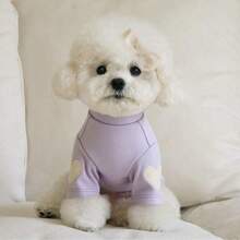 1件绿色高领狗狗衣服，带心形贴片，适合小型犬日常穿着 - 彩色 - 查看 33