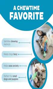 Outward Hound Cutie Chewies Hedgehog Dental Dog Chew Toy, Blue - Dentachew 3 件裝 - 查看 6