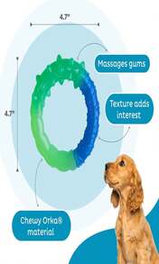 Outward Hound Cutie Chewies Hedgehog Dental Dog Chew Toy, Blue - Nhẫn - Xem 4