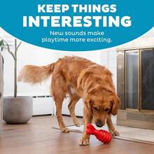 Outward Hound Grunt Fetch Stick Dog Toy, Bunny, Red - ColorA - 查看 5