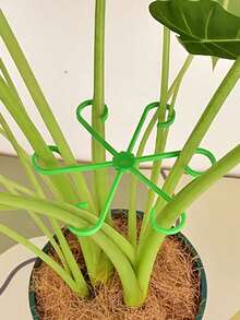 4 Packs Of Durable Plant Support Clips: Sturdy Stem Clamps For Climbing Plants - Plastic Material Sturdy Stem Clamps For Climbing Plants - Plastic Material,Or Indoor Climbing Plants, Plant Supports - Green - View 1