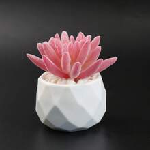 带盆多肉植物人造植物小型假盆栽人造装饰粉色仿真植物适用于客厅卧室办公室书桌书架浴室装饰人造植物
