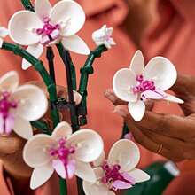 Building Blocks Toys For Kids Phalaenopsis Orchids, Interior Decoration, Artificial Flowers, Bouquet, Fashion, Toys, Building Blocks, Birthday, Gift, Flower, Flowers, Boys, Girls, Adults - Nhiều màu - Xem 5