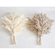5/10/20/30/40 支白色蒲苇草，适用于家居装饰 - 优雅波西米亚风装饰 - 优质蒲苇草茎 - 完美适用于房屋、婴儿房、西式风格、婚礼、餐桌和波西米亚风格装饰 - 白色+棕色 - 查看 5