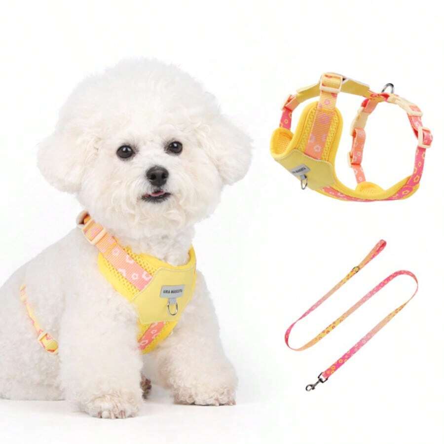 UNA MASCOTA Pet Collars, Leashes & Harnesses Sets - Yellow - View 1
