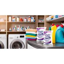 Quitamanchas 800g Hecho de Materias Primas de Alta Calidad Duradero y Potente Paquete de 2 - 1 - Ver 4