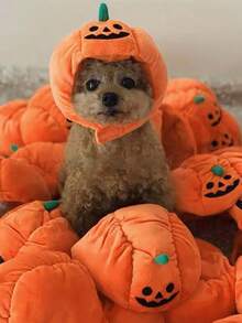 1个宠物冬季保暖南瓜造型宠物头箍趣味配饰南瓜帽猫咪头箍可爱宠物头箍 - 橘色 - 查看 10