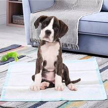 20pcs Disposable Waterproof Incontinence Pads, Breathable Portable Disposable Bed Pads, Soft Mattress Highly Absorbent Waterproof, Christmas & Halloween Gift