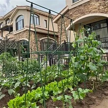 28pcs Sturdy And Durable Garden Support Set, Freely Combinable, Suitable For Tomatoes, Grapes, Cucumbers, Various Fruits, Plants, Vegetables, A Helpful Gardening Tool For Greenhouse And Outdoor Gardening - Multicolor - View 5