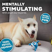 Outward Hound Snack Bag Tortilla Chips Puzzle Squeaky Dog Toys - MàuH - Xem 4