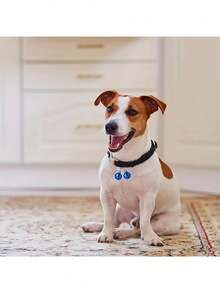 20 Stücke gemischte Kupferglocken Set - geeignet für Weihnachten, 22mm/0,866" große Glocken, Heim- und Haustier-Dekoration, Weihnachtsparty Geschenke, rote, grüne, gold, silberne Weihnachtsdekoration Winterraumdekoration