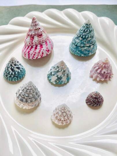 1/2/3pcs Natural Green/Red-Spotted Bell Conch Sea Shells Pagoda Shell Conch, 1.18-2.36inch - Ideal For Wedding Decor, Beach Party, DIY Crafts, Aquarium & Fish Tank Ornaments, Indoor Shell Decorations|Natural Seashell Look|Textured Surface