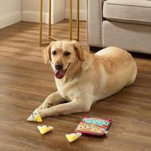 Outward Hound Snack Bag Tortilla Chips Puzzle Squeaky Dog Toys - MàuJ - Xem 5