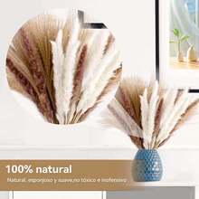 120PCS Decoración de Hierba de Pampas Secas Naturales,Colas de Conejo de Hierba Natural de la Pampa,Decoraciones de Hierba de Pampa Seca,Ramo de Hierba Carrizo para Sala de Estar,Cocina,Boda,Fiestas - negro - Ver 4