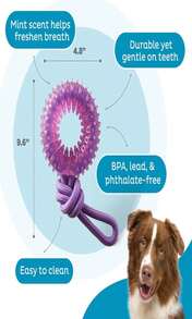 Outward Hound Cutie Chewies Hedgehog Dental Dog Chew Toy, Blue - Bánh xe nhai màu tím - Xem 3