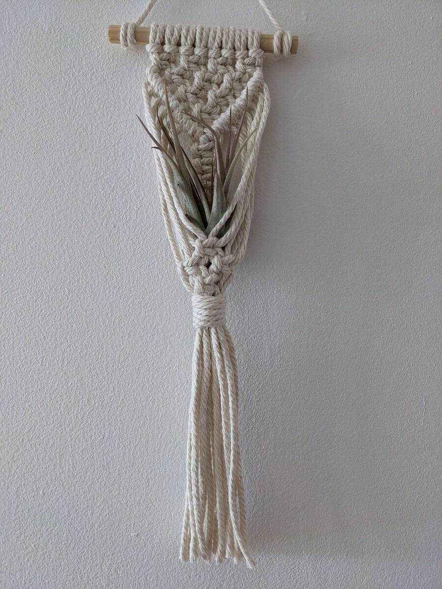 Air Plant Holder Mini Plant Hanger Macrame Hanging - White - View 1