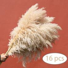 8/10/16/20 Bunches 100cm Pampas Grass Bouquet | Farmhouse Natural Style Extra Long Fluffy Pointed Design, Low Maintenance Bedroom Christmas Decor/Christmas DIY Holiday Arrangement/Floor Decor/DIY Enthusiasts [Extra Long][Low Maintenance Plant][Fluffy Style] - Khaki - View 12