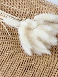 30/60 Pcs Pampas Dried Flowers, Dried Pampas Grass Feathers Decoration, Natural Dried Flowers, Reed Flower Stems Bundle, Natural Dried Pampas Grass Branches, Gorgeous Flowers, Fluffy Dried Plants, Vase Fillers, Decorate Home, Kitchen, Garden Party, Photoshoot, Flower Arrangement, Vase Decoration, Suitable For Kitchen, Home, Boho Decoration,Room Decor,Christmas,Christmas Decoration - Primary Color - View 24