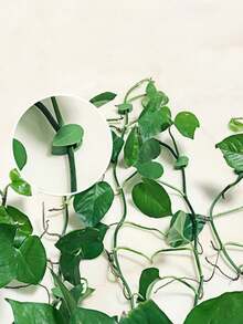 1 peça/2 peças Dispositivo de Fixação de Roupão em Forma de Folha Verde, Artesanato de Parede para Escalada de Plantas Verdes, Clipe de Fixação de Videira de Melancia, Dispositivo de Fixação de Plantas Verdes Sem Rastro, Estrutura de Suporte de Tração, Adequado para Decoração de Jardim Interno e Externo