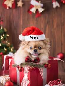 Personalized Custom-Made Christmas Hat With Plush Edge For Adults And Children, Santa Claus Hat, New 2025 Style