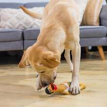 Outward Hound By Charming Pet Squawkers Earl Latex Squeaky Rubber Chicken Dog Toy, Funny Interactive Holiday Toy For Dogs, Large Size - ColorA - 查看 5