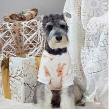 Autumn Flannel Pet Clothes, Dog Clothes, Small Bear Four-Legged Clothes, Cross-Border New Products Dog Clothes