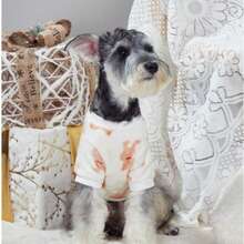 Autumn Flannel Pet Clothes, Dog Clothes, Small Bear Four-Legged Clothes, Cross-Border New Products Dog Clothes