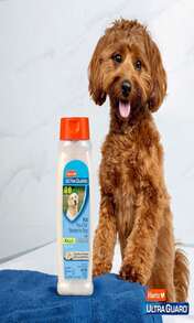Hartz UltraGuard Rid Flea &Amp; Tick Oatmeal Dog Shampoo, 18 Oz Bottle - 白色 - 查看 5