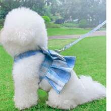 1pc Pet Dog/Cat Plaid Skirt Harness Leash Set, Teddy/Poodle Outdoor Clothes, Autumn/Winter - Blue - View 5
